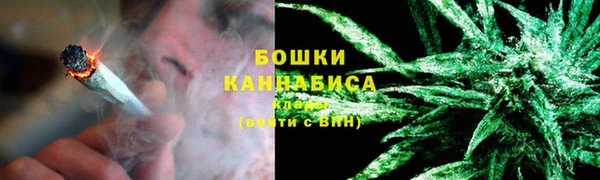 дмт Инсар