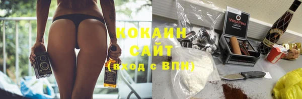 дмт Инсар