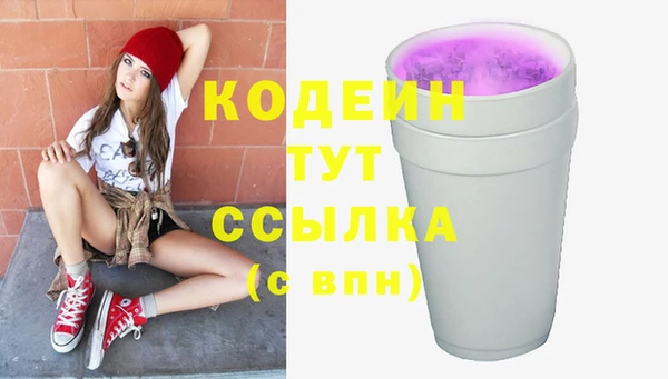 дмт Инсар