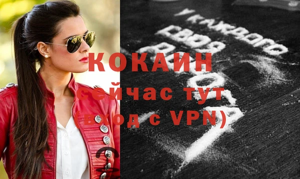дмт Инсар
