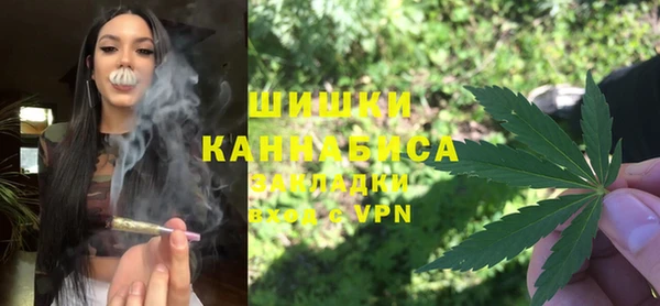 дмт Инсар