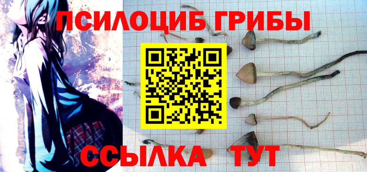 Псилоцибиновые грибы Magic Shrooms Стерлитамак