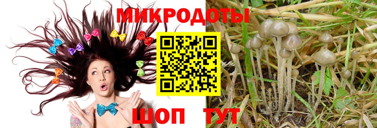 Галлюциногенные грибы Magic Shrooms  Псилоцибиновые грибы Psilocybine cubensis  Вход с VPN  Стерлитамак 